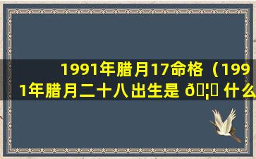 1991年腊月17命格（1991年腊月二十八出生是 🦈 什么命）